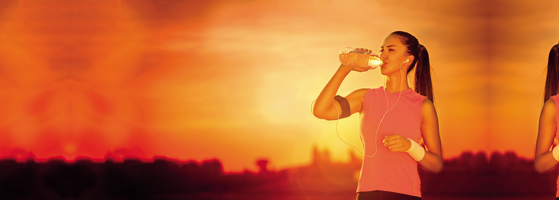 Diamond Nutrition France